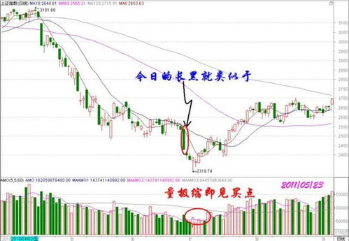 到哪里查我的养老保险金 到哪里查我的养老保险金